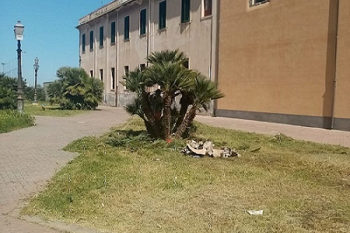 Milazzo (ME) - Comune alla ricerca di giardinieri