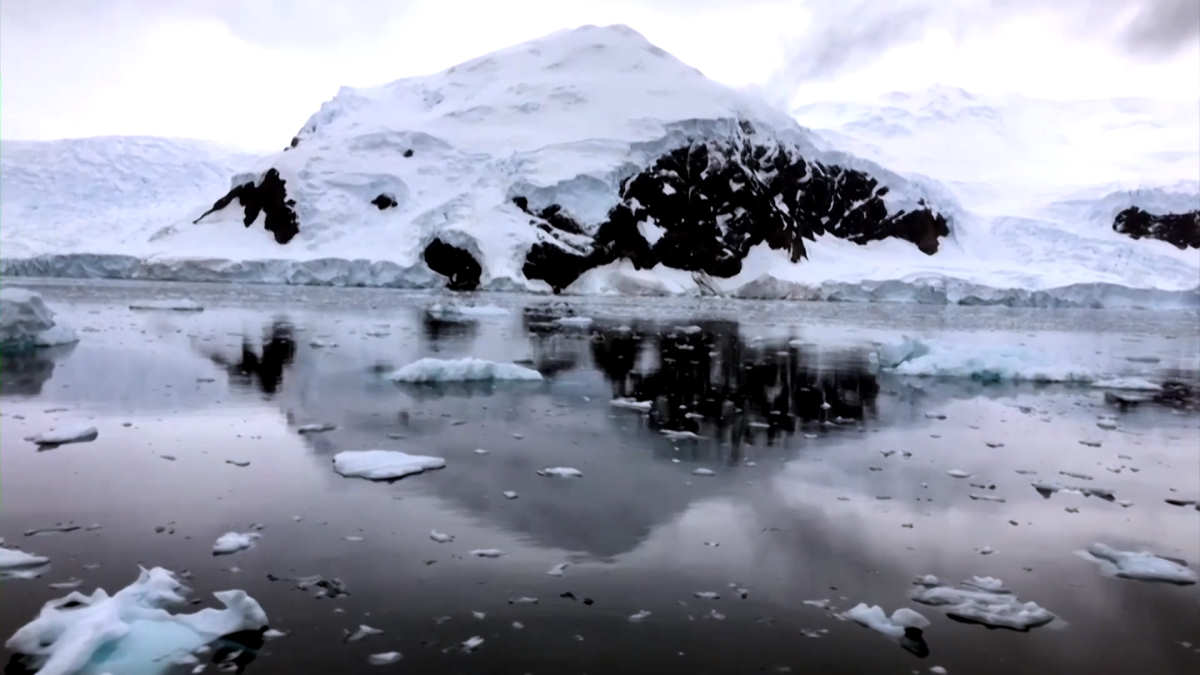 Copernicus: si riduce il ghiaccio in Antartide. A rischio il pinguino imperatore