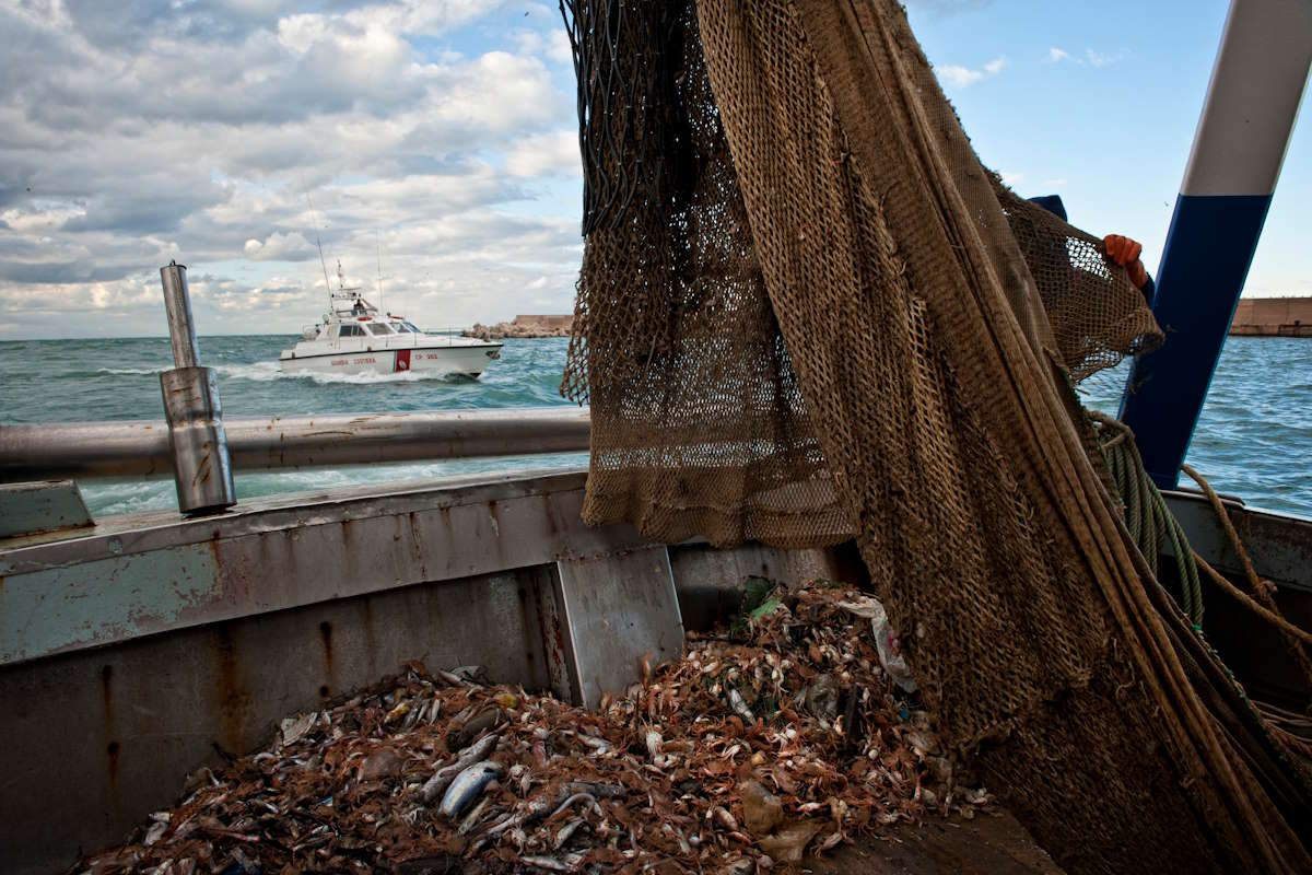 Rapporto annuale sul controllo pesca in Italia