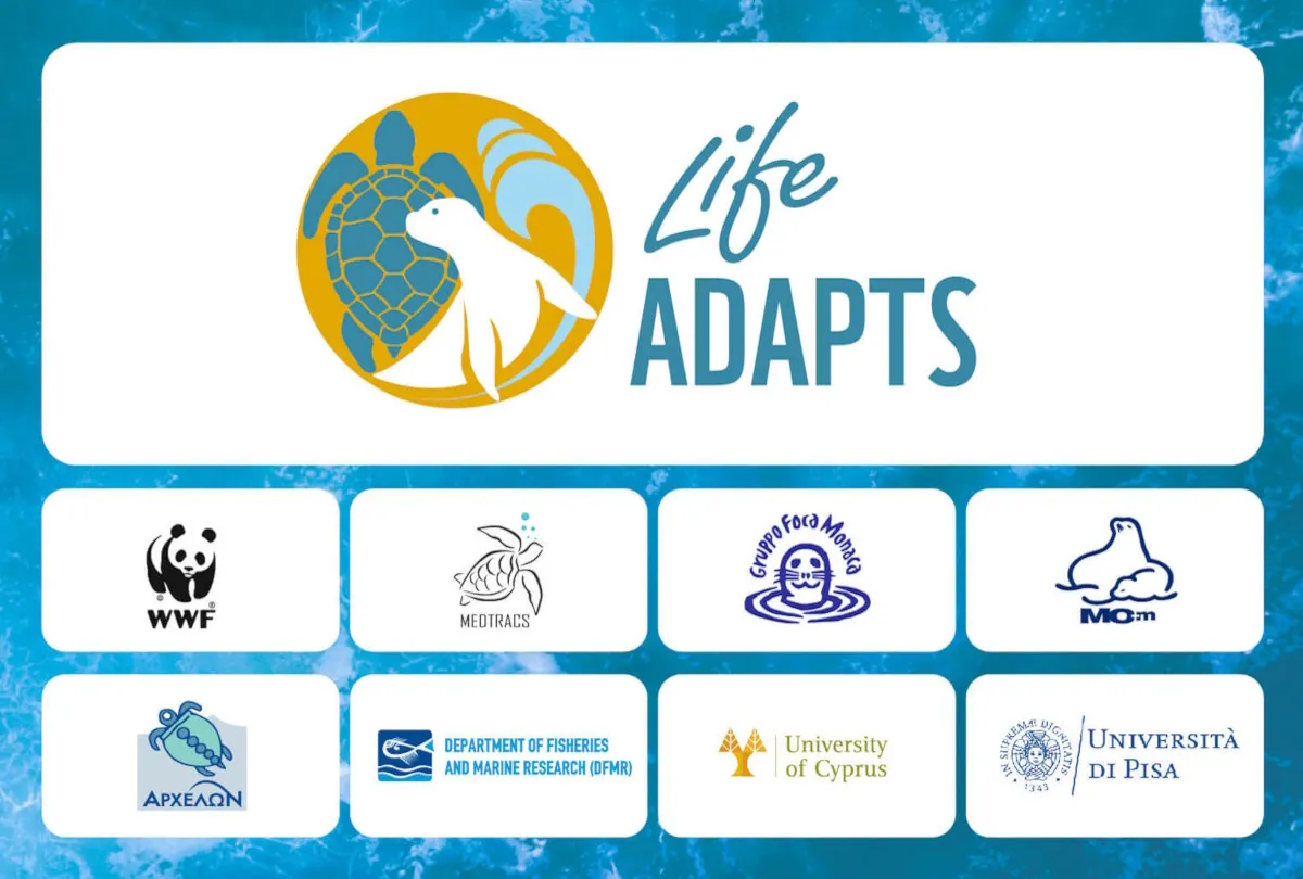 LIFE ADAPTS: nuove strategie di adattamento per tartarughe marine e foche monache del mediterraneo