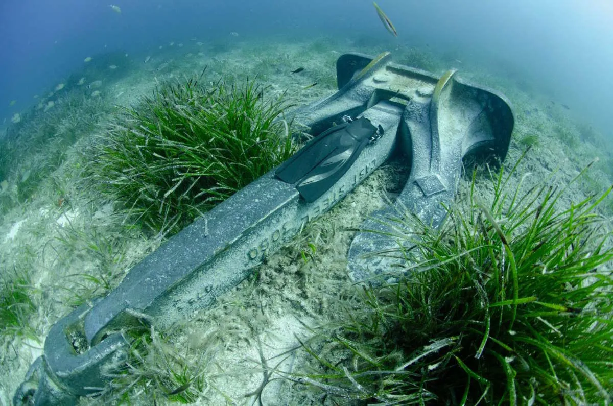 In occasione della Giornata Mondiale degli Oceani il WWF lancia l'allarme sui danni causati dall'ancoraggio delle imbarcazioni