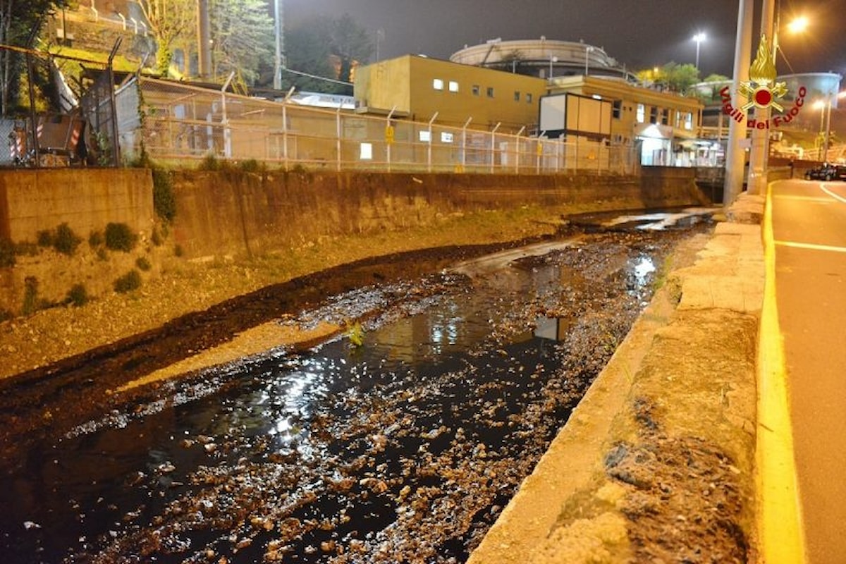 Il Polcevera a Genova invaso dal petrolio. Rischio disastro ambientale