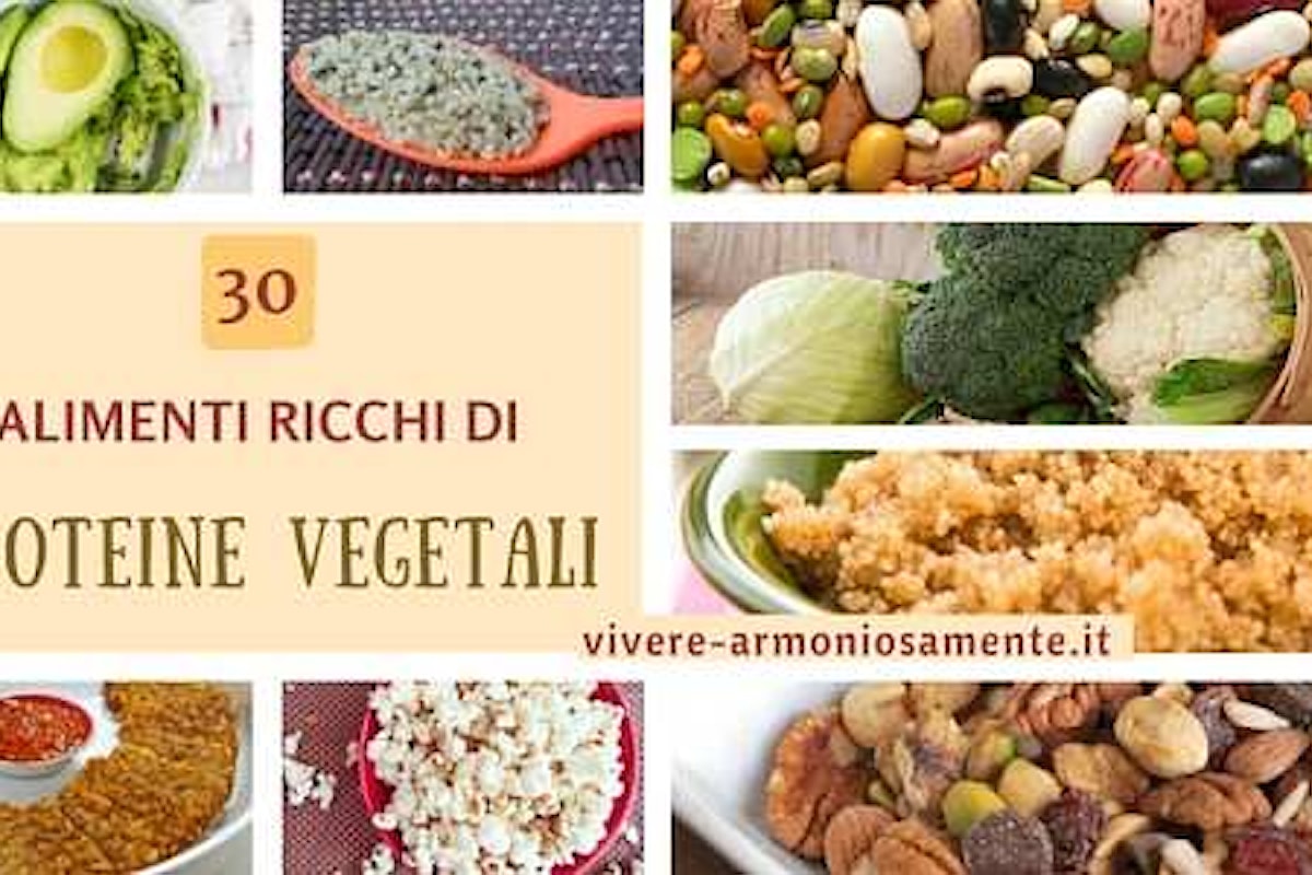 30 Cibi Ricchissimi di Proteine Vegetali