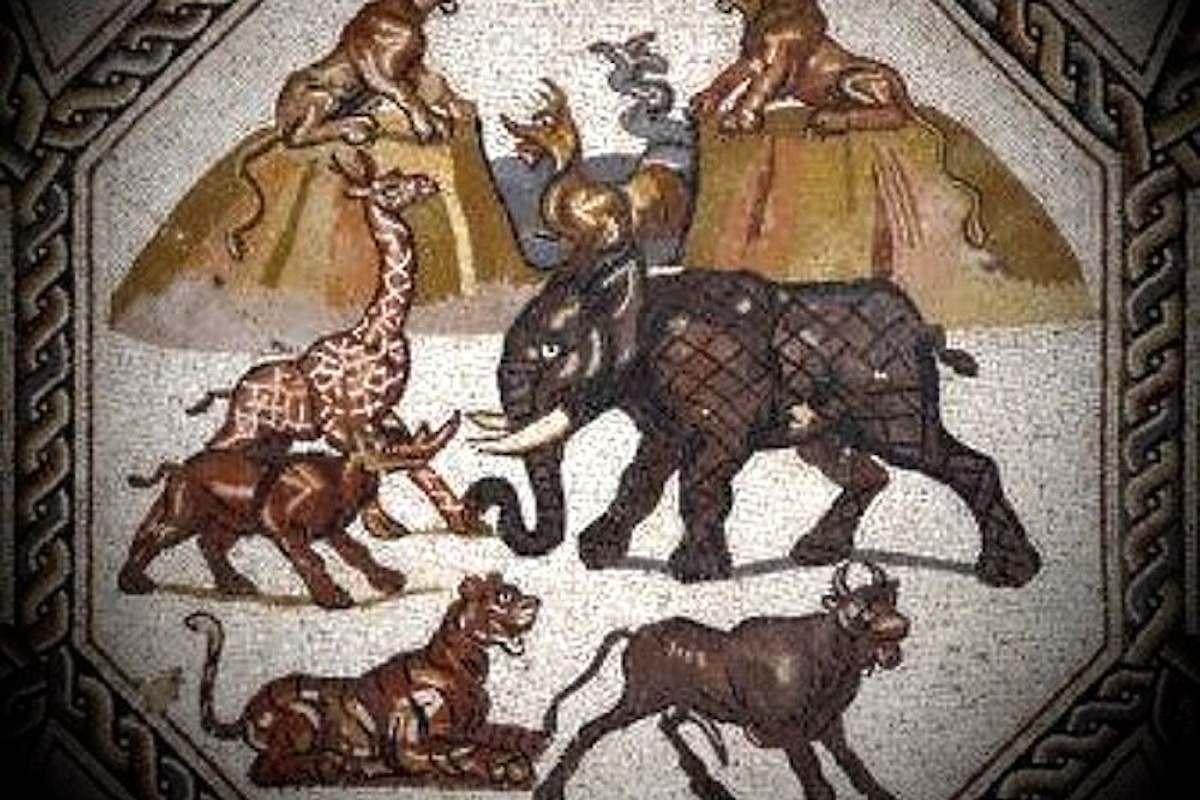 Un gran serraglio